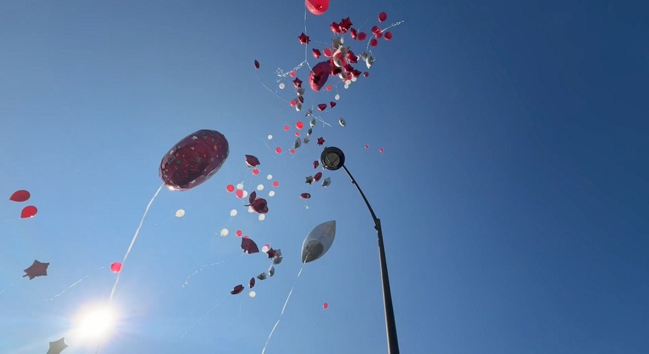 The impact of balloon releases, push to ban them in N.Y.