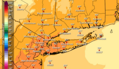 nws New York