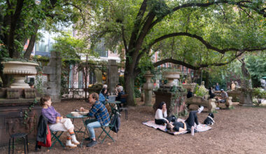 Elizabeth Street Garden 'win' is a loss for housing