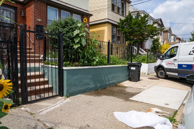 A deceased dog (bottom right) is pictured after a fire inside a home on 202nd St. in Queens on Saturday, Aug. 1, 2026. (Theodore Parisienne / New York Daily News)