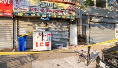 Man, 33, stabbed to death steps from his Queens home