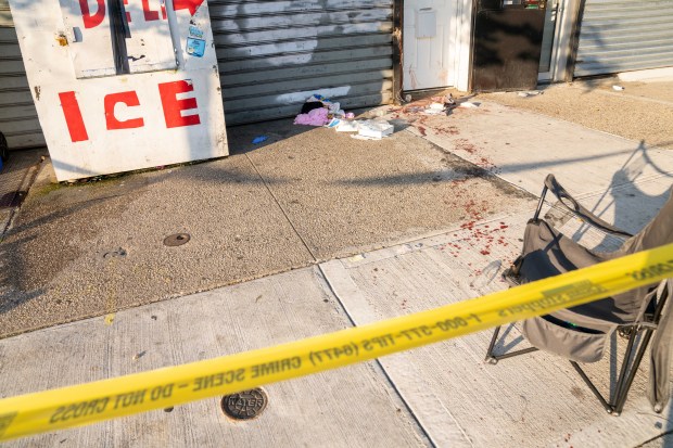 Police invesigate after Jose Scott was fatally stabbed on Merrick Blvd. near 221st St. in Queens on Sunday, Aug. 23, 2026. (Theodore Parisienne / New York Daily News)