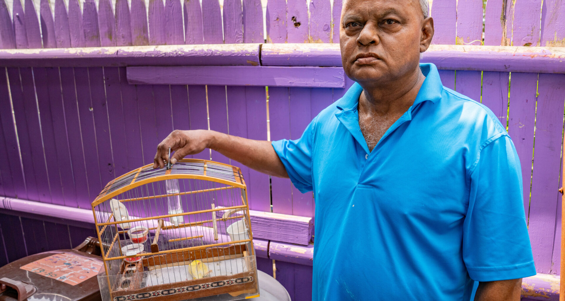 Queens house fire kills dog and neighbor's beloved pet canary