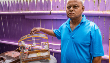 Queens house fire kills dog and neighbor's beloved pet canary