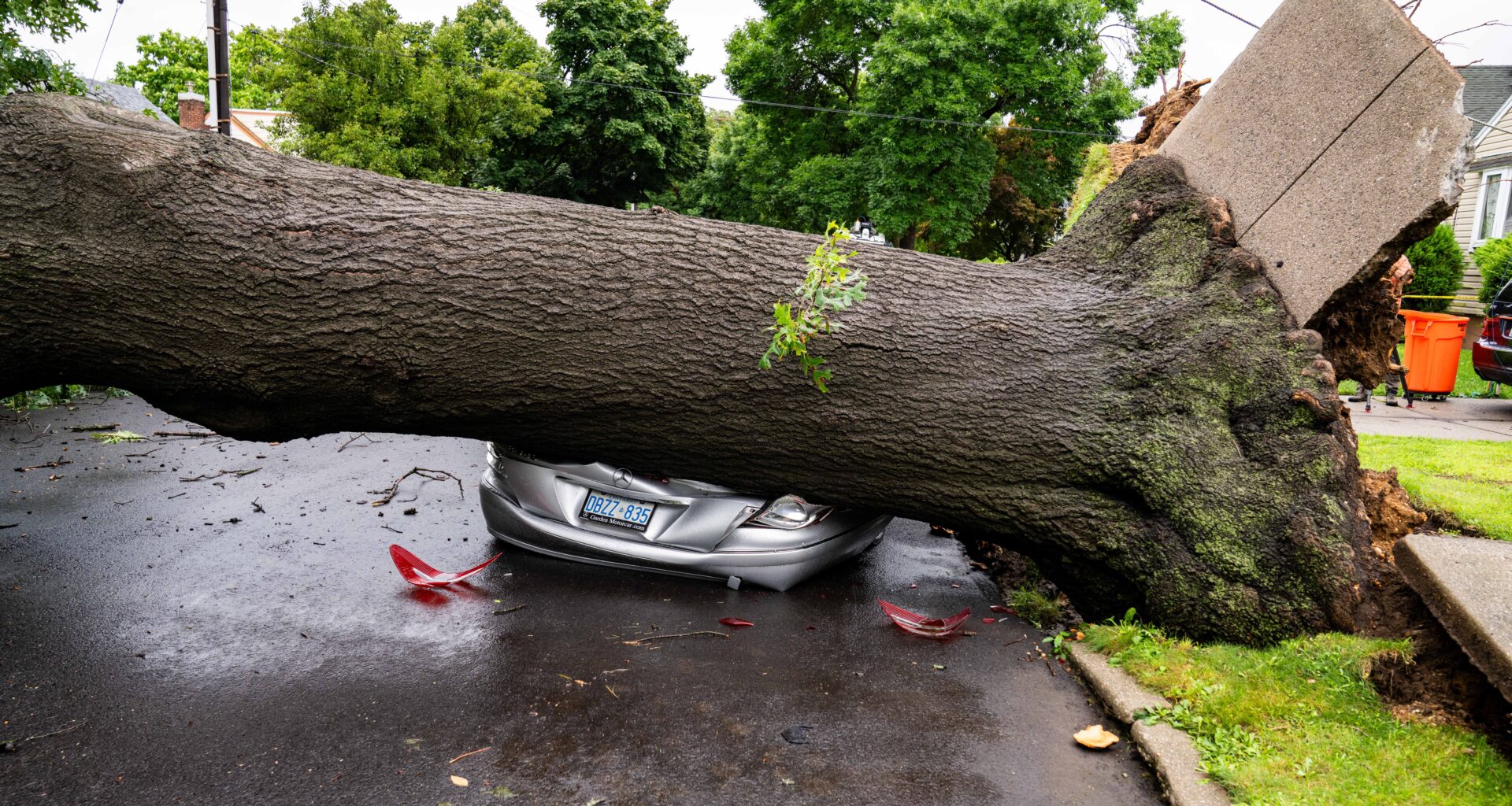 Fallen tree crushes cars in Queens as high winds and heavy rains batter NYC