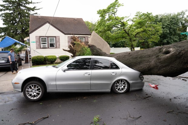 A large tree is pictured on top of a silver 2003 Mercedes Benz E-320 sedan on 86th Ave. near the Cross Island Parkway North Service Road in Queens on Monday, Aug. 3, 2026. (Theodore Parisienne / New York Daily News)
