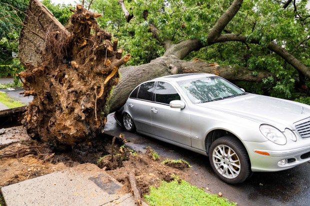 A large tree is pictured on top of a silver 2003 Mercedes Benz E-320 sedan on 86th Ave. near the Cross Island Parkway North Service Road in Queens on Monday, Aug. 3, 2026. (Theodore Parisienne / New York Daily News)