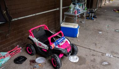 Gunman who shot and wounded 8 at Coney Island BBQ also killed boy's puppy: D.A.