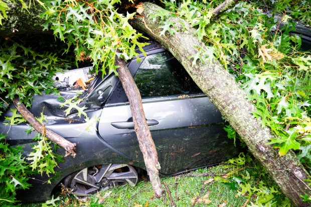 A large tree is pictured on top of a grey 2025 Hyundai Elantra on 86th Ave. near the Cross Island Parkway North Service Road in Queens on Monday, Aug. 3, 2026. (Theodore Parisienne / New York Daily News)