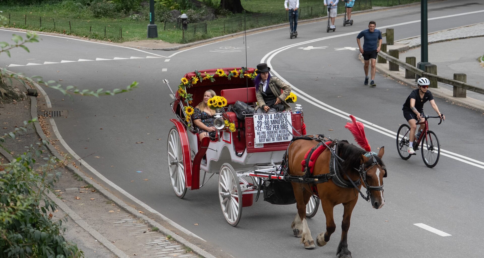 Readers sound off on accommodating carriages, Little League and insurance costs