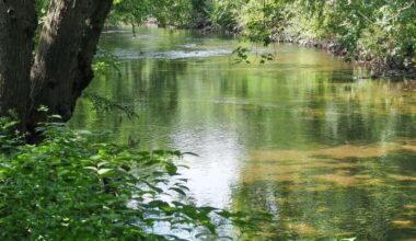 The Bronx River in Shoelace Park, in The Bronx.