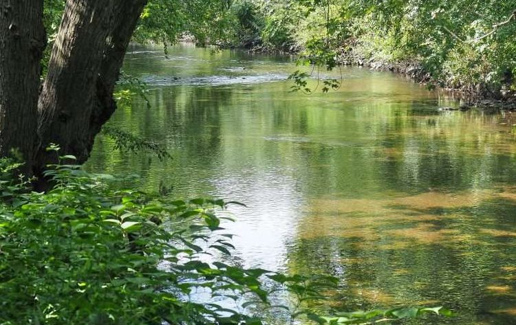 The Bronx River in Shoelace Park, in The Bronx.