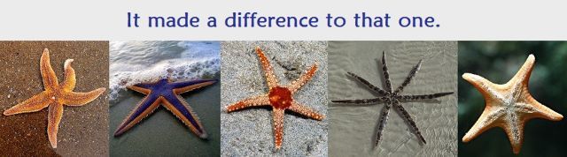 TIP Series starfish images for The Inoculation Project