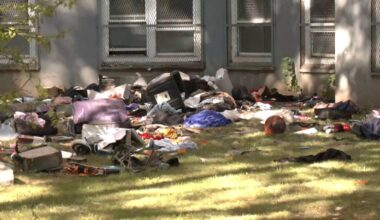 a NYCHA housing complex