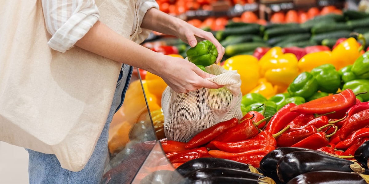 No Kid Hungry provides grants for summer meals, grocery assistance for NY families