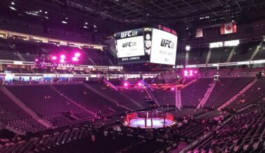UFC 226