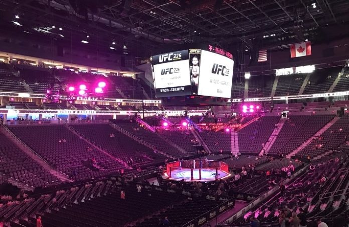 UFC 226
