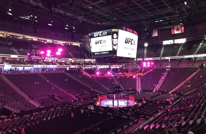 UFC 226