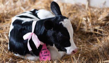 New York’s agricultural industry at the New York State Fair