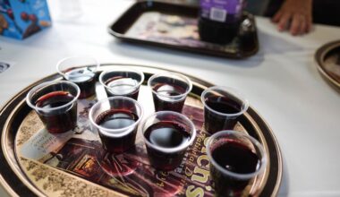 Producers outline current challenges for the grape industry