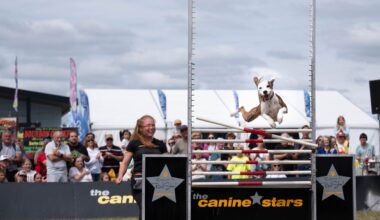 N.Y. State Fair announces entertainment acts for 2026