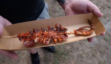 A fairgoer holds a grilled squid.