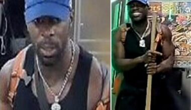 Smiling nut whacks straphanger with gardening tool on NYC subway