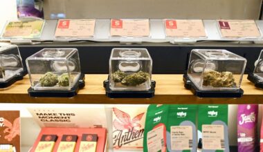 Albany's pot pushers come for our kids — in a slick ad campaign
