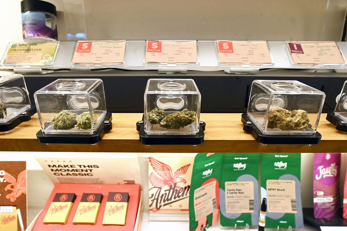 Albany's pot pushers come for our kids — in a slick ad campaign