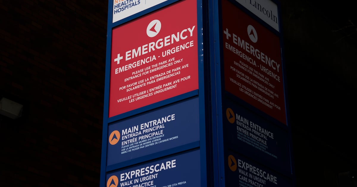 Bronx, upper Manhattan, and Queens are especially vulnerable to Medicaid work requirements