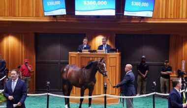 Cody's Wish Colt Tops Day 1 of F-T New York-Bred Sale