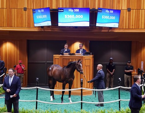 Cody's Wish Colt Tops Day 1 of F-T New York-Bred Sale