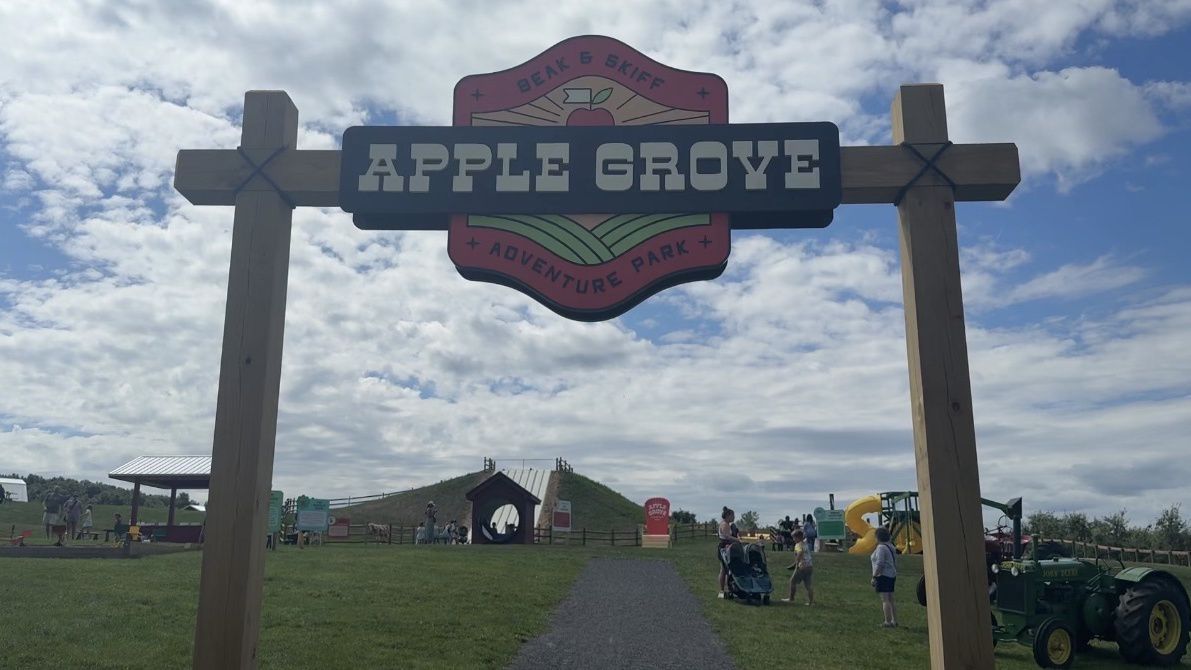 Beak and Skiff Adventure Park