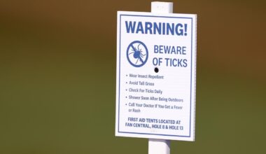 These New York State Parks Have A Serious Tick Problem