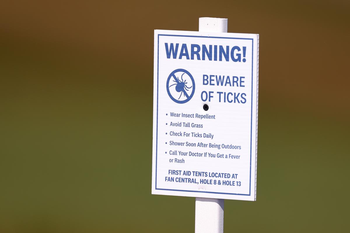 These New York State Parks Have A Serious Tick Problem