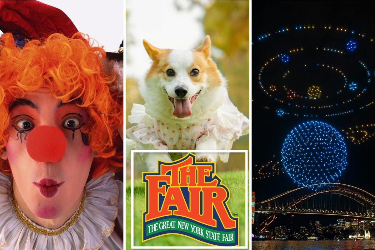 New York State Fair Adds Corgi Races, Drone Show & More