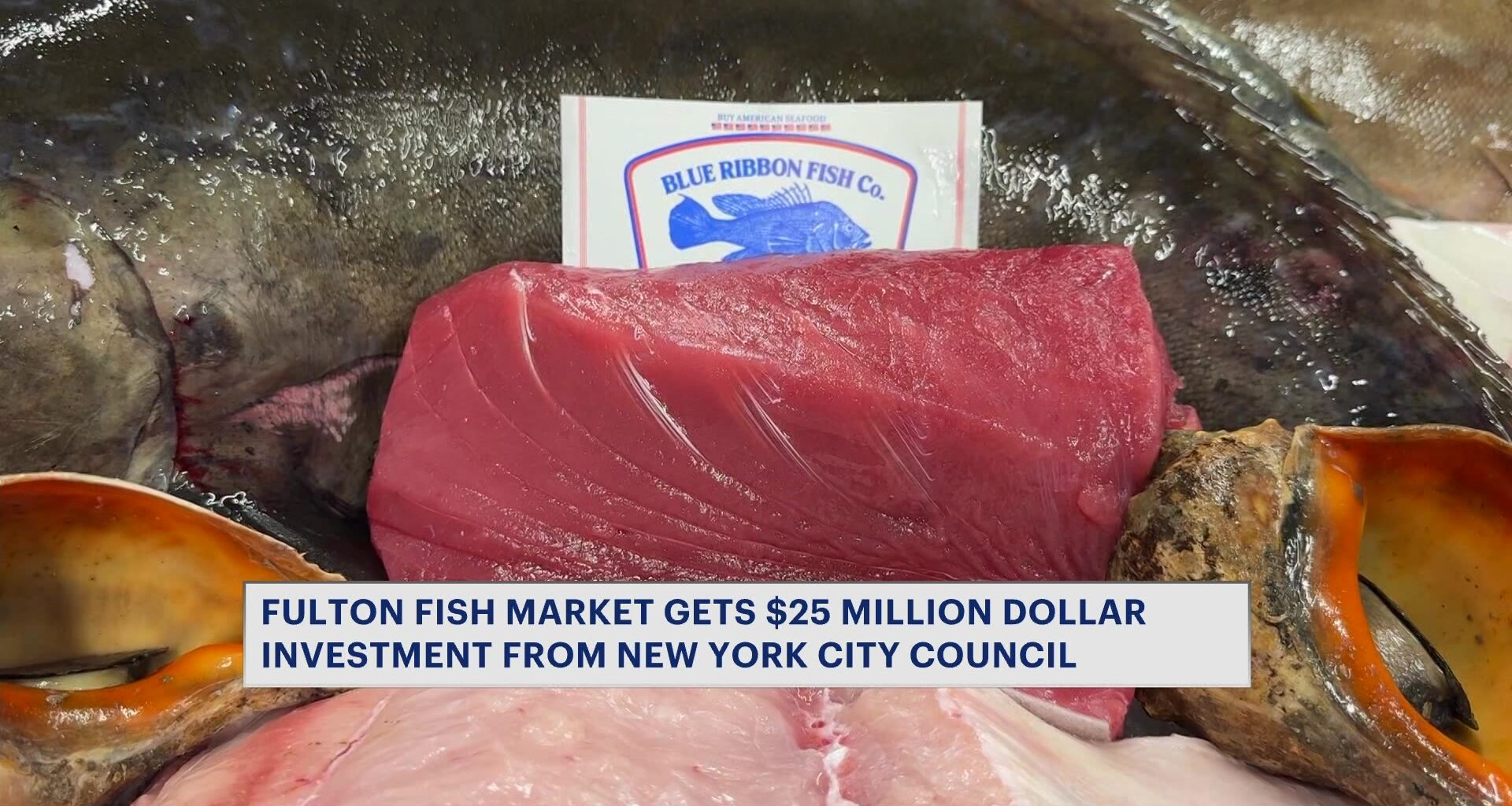 News 12 | Bronx | Fulton Fish Market Receives Major Investment To Modernize Hunts Point Facility