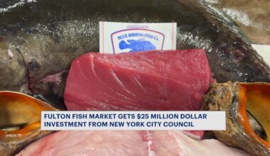 News 12 | Bronx | Fulton Fish Market Receives Major Investment To Modernize Hunts Point Facility