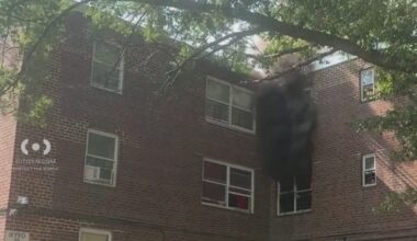 News 12 | Brooklyn | Canarsie Apartment Building Blaze Injuries At Least 2 Sends Cat Leaping From Window