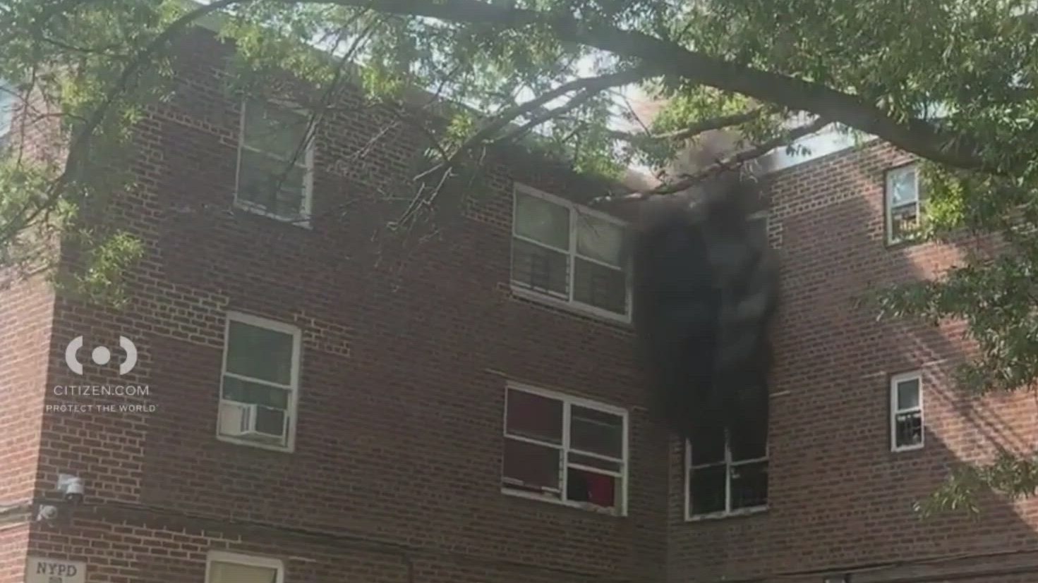 News 12 | Brooklyn | Canarsie Apartment Building Blaze Injuries At Least 2 Sends Cat Leaping From Window