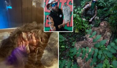 Cornell shuts down claims of '60% Neanderthal' NY Bigfoot, setting off fuming Sasquatch hunter