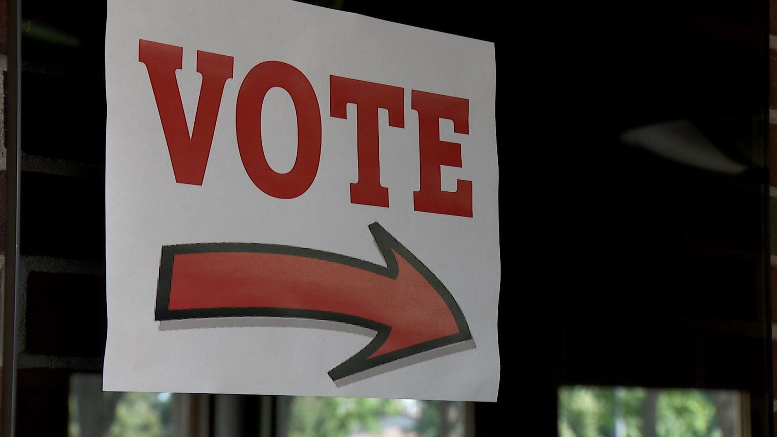 State Primaries: Janigo, Pha Win Senate Challenges; Momanyi-Hiltsley Advances in House Race