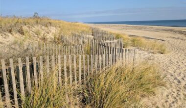 NEW YORK DEPARTMENT OF STATE ANNOUNCES AVAILABILITY OF $4.5 MILLION FOR CLIMATE RESILIENCE PLANNING AND PROJECTS
