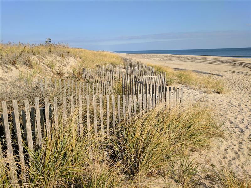 NEW YORK DEPARTMENT OF STATE ANNOUNCES AVAILABILITY OF $4.5 MILLION FOR CLIMATE RESILIENCE PLANNING AND PROJECTS