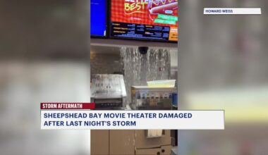 News 12 | Brooklyn | Moviegoers Caught Off Guard As Rain Leaks Into Brooklyn Theater