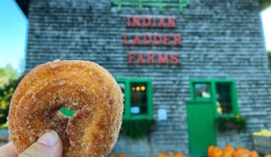 15 Ways to Celebrate Summerween in New York State
