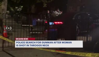 News 12 | Long Island