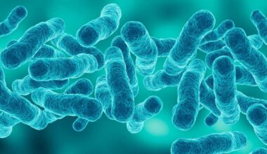 NYC to face lawsuits connected to 2025 Legionnaires' outbreak in Harlem