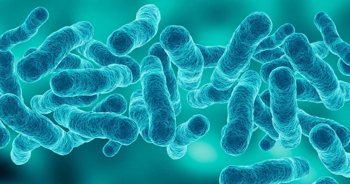 NYC to face lawsuits connected to 2025 Legionnaires' outbreak in Harlem