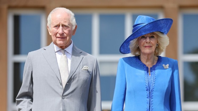 King Charles Cancer Update After Queen Camilla's Comments